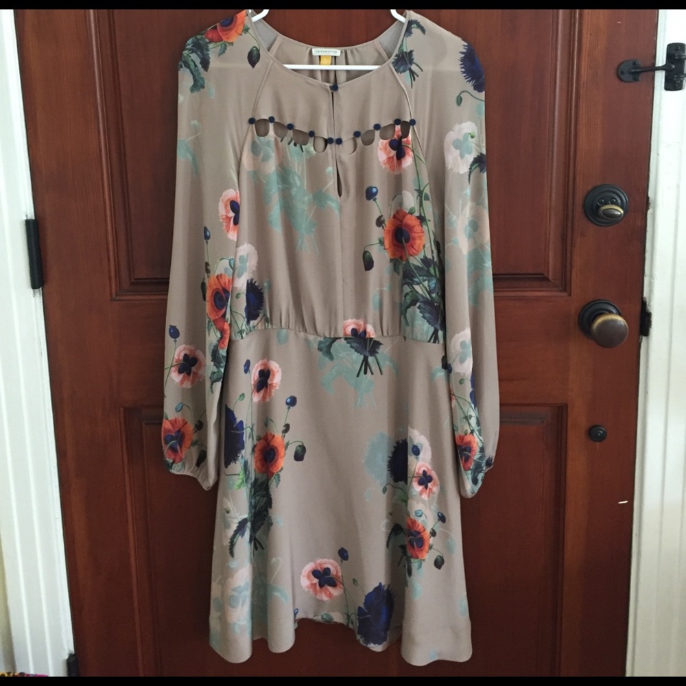 Anthropologie Leifsdottir silk dress